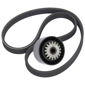 Keilrippenriemensatz 542R0828 RENAULT TWINGO von RIDEX