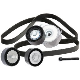 Achetez des Jeu de courroies trapézoïdales à nervures RIDEX 542R0903 à prix pour 77,08 €