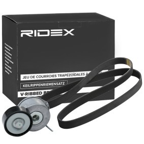 Achetez des Jeu de courroies trapézoïdales à nervures RIDEX 542R0906 à prix pour 44,43 €