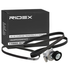 Achetez des Jeu de courroies trapézoïdales à nervures RIDEX 542R0939 à prix pour 52,35 €