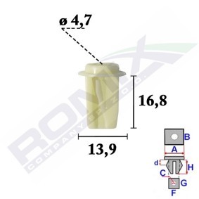 Clip, Zier- / Schutzleiste C70550