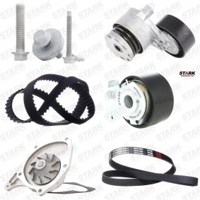 Achetez des Kit de distribution + pompe à eau STARK SKWPT-0750413 à prix pour 116,01 €