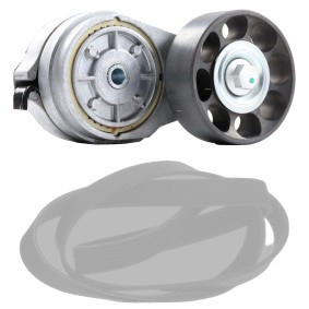 Achetez des Jeu de courroies trapézoïdales à nervures RIDEX 542R0962 à prix pour 68,76 €