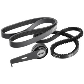 Achetez des Jeu de courroies trapézoïdales à nervures RIDEX 542R0970 à prix pour 47,31 €