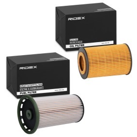 Filterset 4055F34636 VOLKSWAGEN MULTIVAN von RIDEX