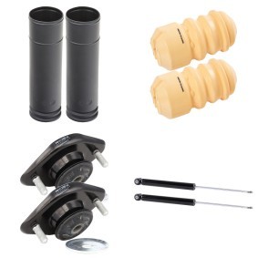 Stoßdämpfer-Set 1185S0055