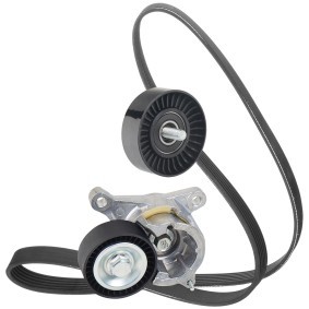 Keilrippenriemensatz von RIDEX für C5 I (DC_) günstig online kaufen