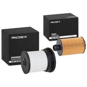 Compre Kit de filtros de RIDEX online para 300 C a precios moderados