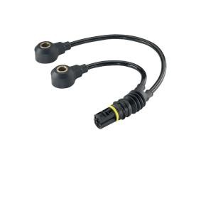 Klopfsensor S103541001Z