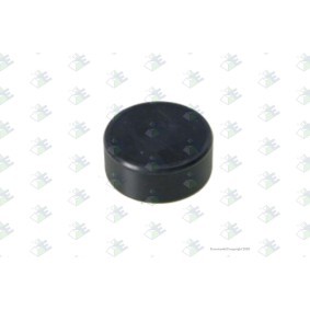 Achslager des Herstellers Euroricambi - Originalware Artikelnummer: 60532179