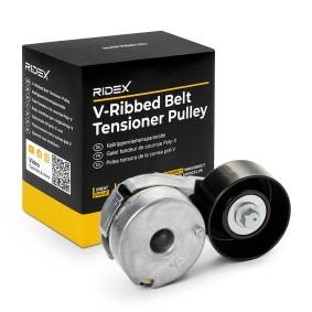 Compre Rolo tensor, correia trapezoidal estriada da RIDEX 310T0564 a um preço baixo por 37,63 €