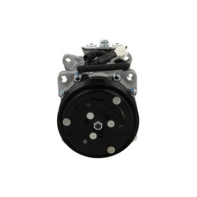 Acquista Compressore aria condizionata da BV PSH 090.225.016.310 a buon mercato per soli 517,33 €