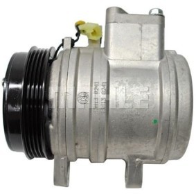 Acquista Compressore aria condizionata da BV PSH 090.235.003.310 a buon mercato per soli 460,33 €