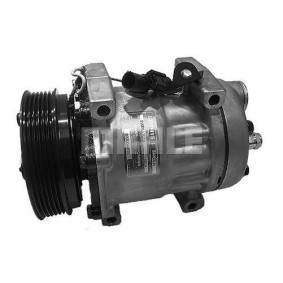 Acquista Compressore aria condizionata da BV PSH 090.575.047.310 a buon mercato per soli 616,74 €
