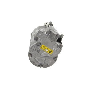 Acquista Compressore aria condizionata da BV PSH 090.845.010.310 a buon mercato per soli 725,65 €