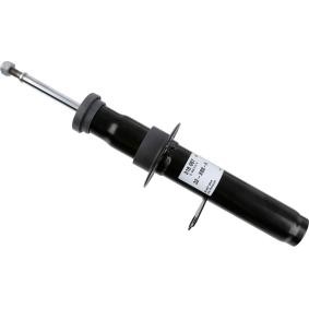 Stoßdämpfer 318 087