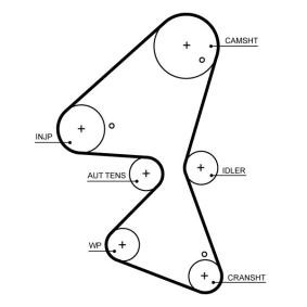 Achetez des Courroie de distribution de chez GATES en ligne pour Jumpy III Van (V) à prix modérés