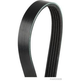 Achetez des Courroie Poly-V HERTH+BUSS JAKOPARTS J1051341 à prix pour 14,55 €