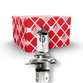 Glühlampe, Hauptscheinwerfer 173286 für VOLVO