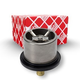 Kühlwasserthermostat 176580 für DAF