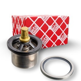 Kühlwasserthermostat 176650 für DAF