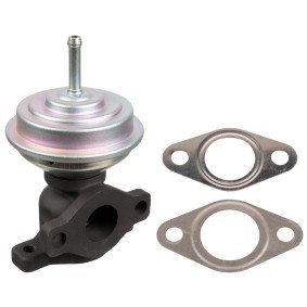 Acquista Valvola EGR da FEBI BILSTEIN 176689 a buon mercato per soli 53,45 €