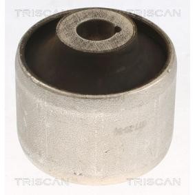 Acquista Supporto braccio oscillante da TRISCAN 8500 298085 a buon mercato per soli 17,30 €