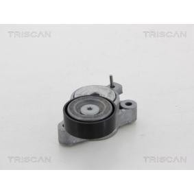 Comprar Tensor de correa poli V de TRISCAN 8641 293044 a bajo precio de 55,49 €