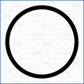 Ansaugkrümmerdichtung 13317300