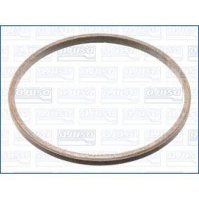 Dichtring, Abgasrohr 19009400