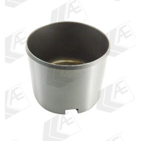 Achetez des Poussoir hydraulique AE FOL289 à prix pour 18,31 €