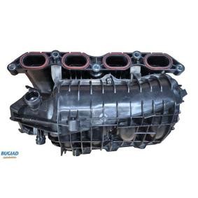 Comprar Colector de admisión, suministro de aire de BUGIAD BIM17020 a bajo precio de 159,83 €