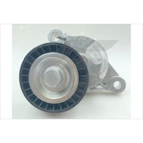 Compre Rolo tensor, correia trapezoidal estriada da HUTCHINSON T0703 a um preço baixo por 91,15 €