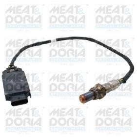 NOx-Sensor, NOx-Katalysator von MEAT & DORIA