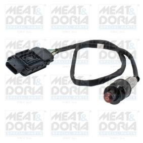 NOx-Sensor, NOx-Katalysator von MEAT & DORIA