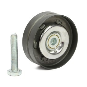 Acquista Galoppino / guidacinghia, cinghia poly-v da MASTER-SPORT online per Corsa C Van (X01) a prezzi moderati