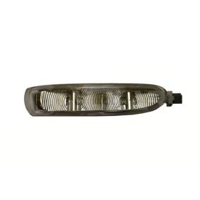 Blinker 6202834