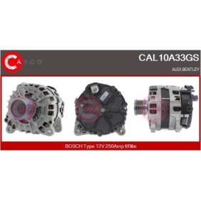 Kraftstoff-Fördereinheit CGA70128AS