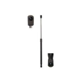 Heckklappendämpfer MGS0001 von Magnum Technology günstig für 14,68 € online kaufen