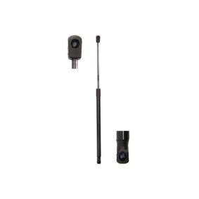Osta Kaasujousi, tavaratila Magnum Technology:llä MGS4011 edullisesti hintaan 18,12 €