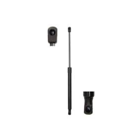 Heckklappendämpfer MGS5006 von Magnum Technology günstig für 20,62 € online kaufen