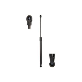 Heckklappendämpfer MGS8002 für TOYOTA