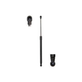 Heckklappendämpfer MGS8006 für TOYOTA