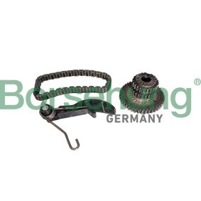 Achetez des Kit de chaînes, commande de pompe à huile Borsehung B10218 à prix pour 72,85 €