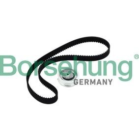 Achetez des Kit de distribution Borsehung B10219 à prix pour 77,60 €