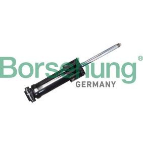 Stoßdämpfer für SKODA von Borsehung