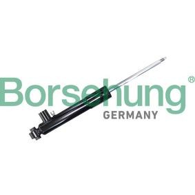 VOLKSWAGEN Stoßdämpfer von Borsehung