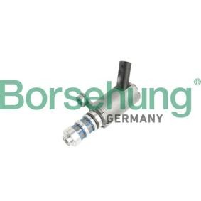 Acquista Valvola centrale, Regolazione albero a camme da Borsehung B11858 a buon mercato per soli 53,08 €
