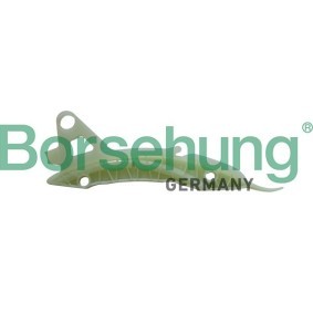 Achetez des Coulisse de chaîne de distribution Borsehung B1G048 à prix pour 26,83 €