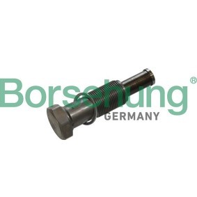 Steuerkettenspanner von Borsehung B1T027